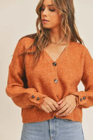 Golden Hour Sweater Cardigan in Rust