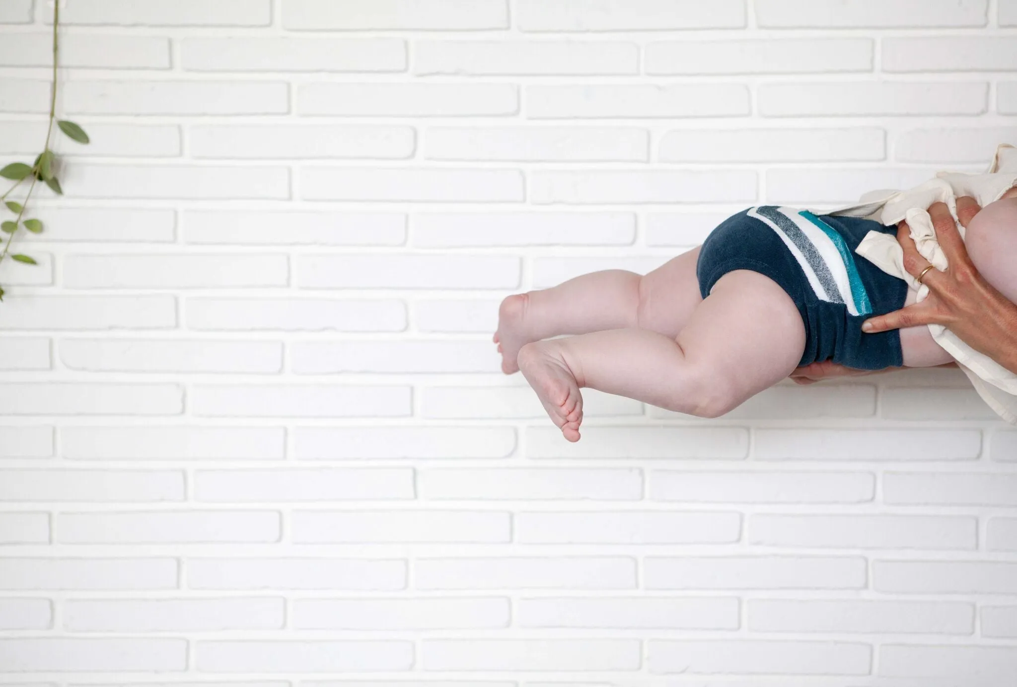 Piupiuchick shorts high waisted navy